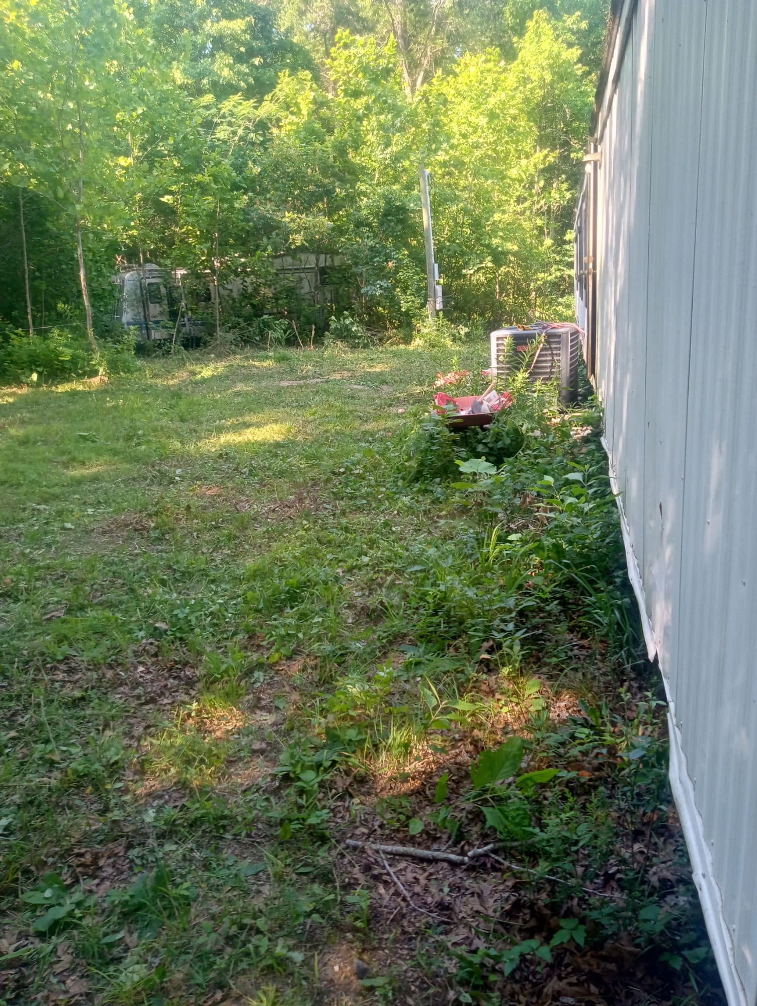 Opened up yard space after property cleanup around Mountain Pine Arkansas